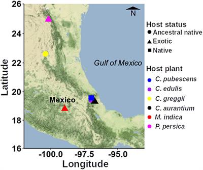 Metagenomic Survey of the Highly Polyphagous Anastrepha ludens Developing in Ancestral and Exotic Hosts Reveals the Lack of a Stable Microbiota in Larvae and the Strong Influence of Metamorphosis on Adult Gut Microbiota